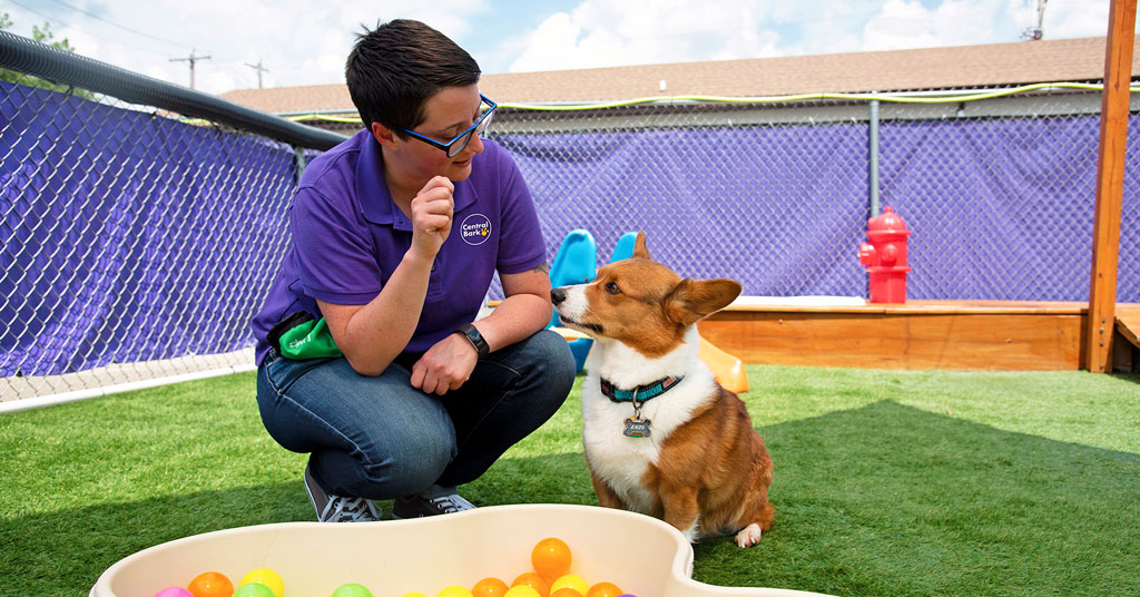 Central Bark Franchise Owner with Dog