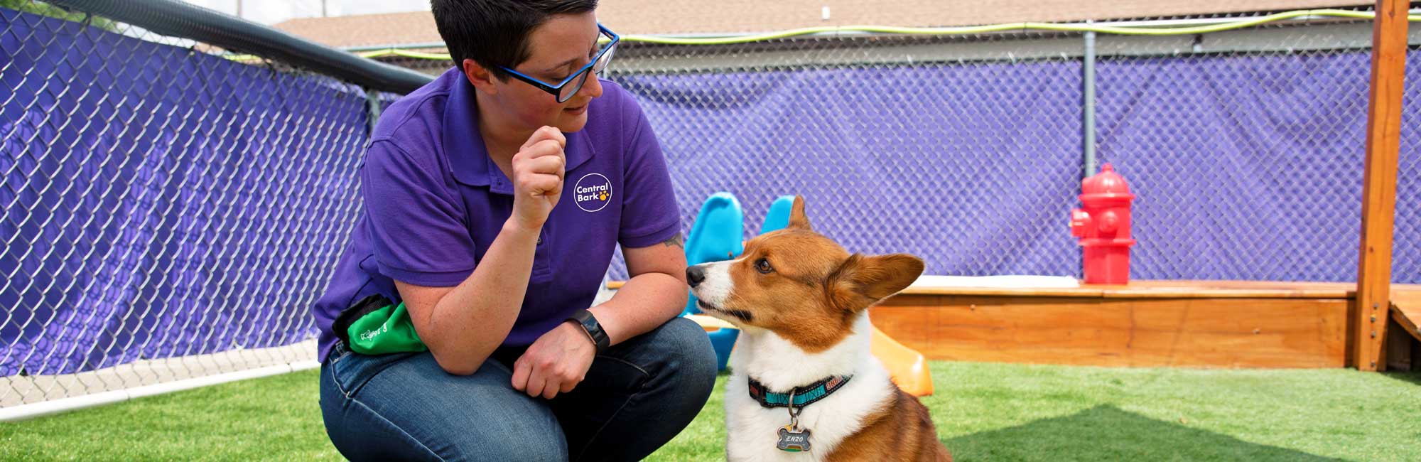 Central Bark dog training