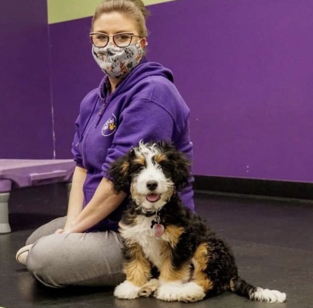 staff member with dog