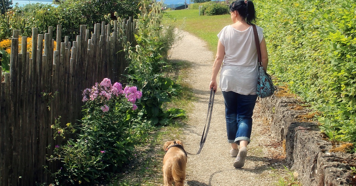 Why Dog Walking Makes You Happier